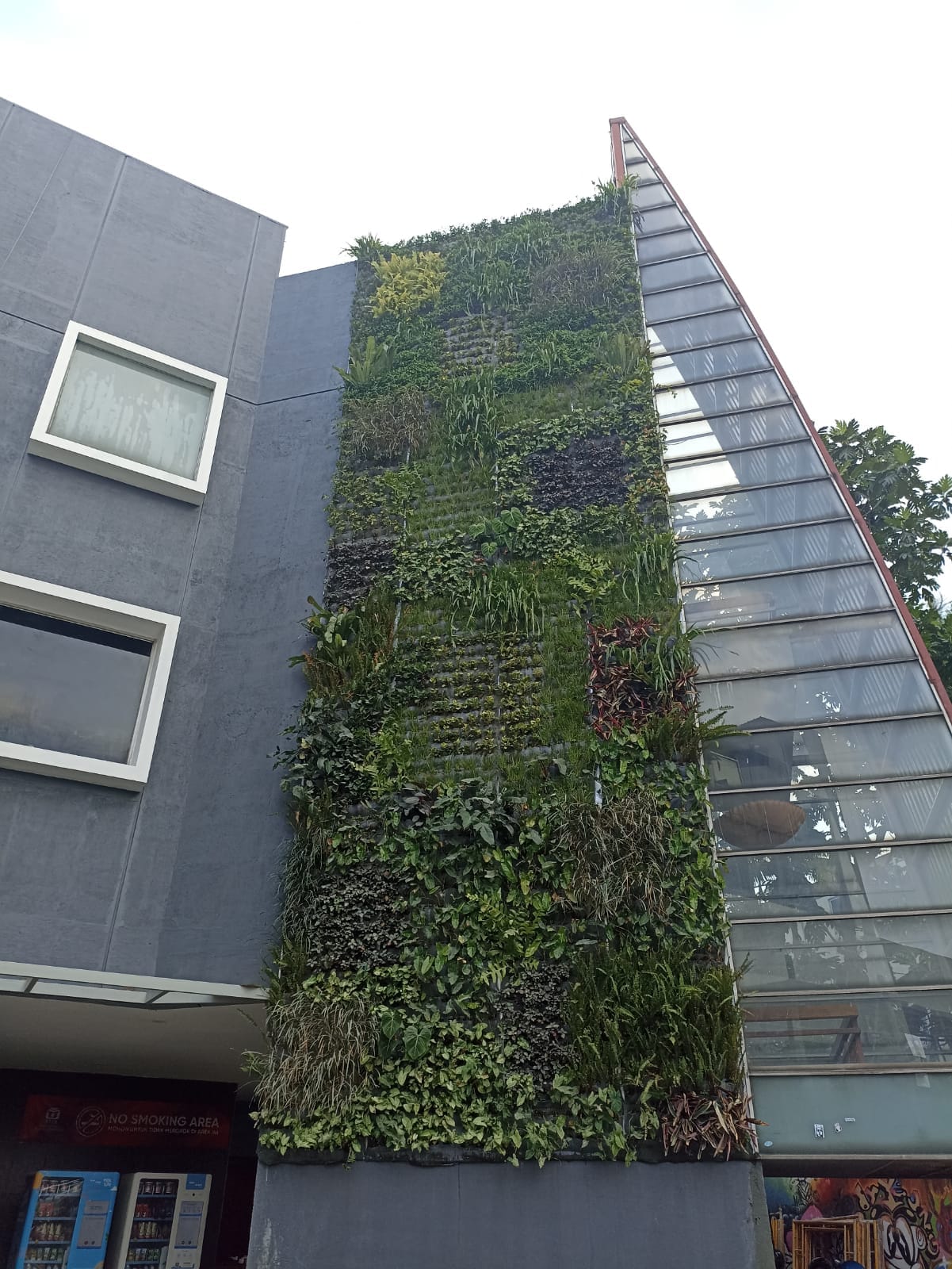 Bikin Vertical Garden Bandung