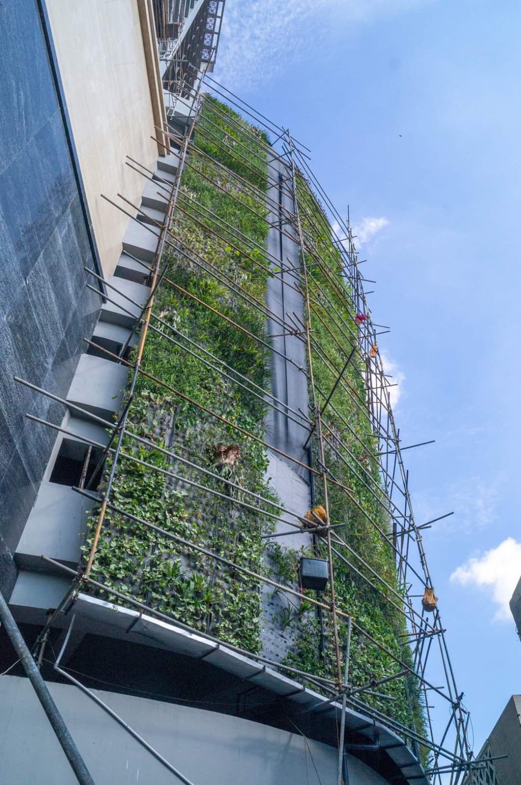 tukang vertical garden Bandung